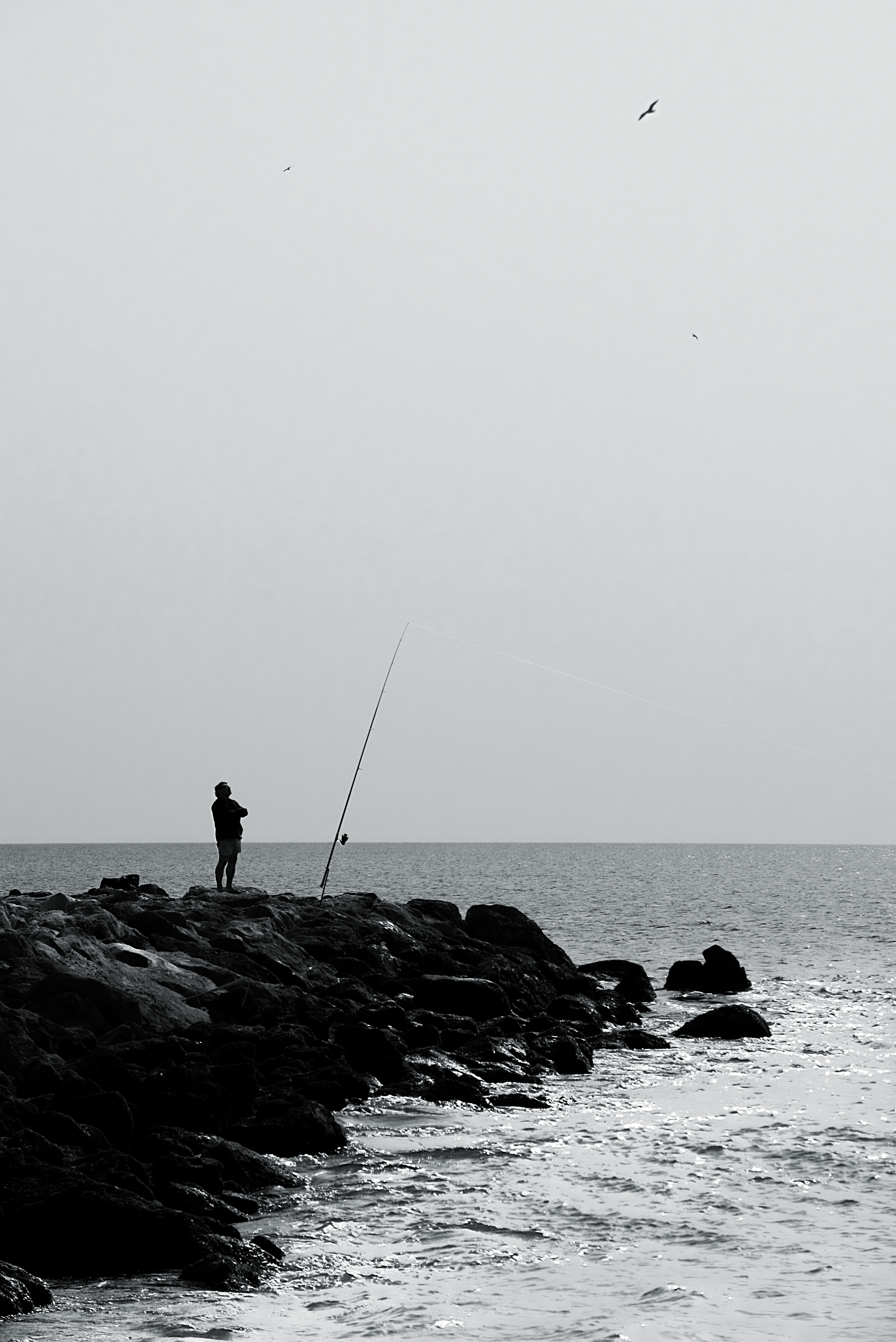 Fisherman in Portugal